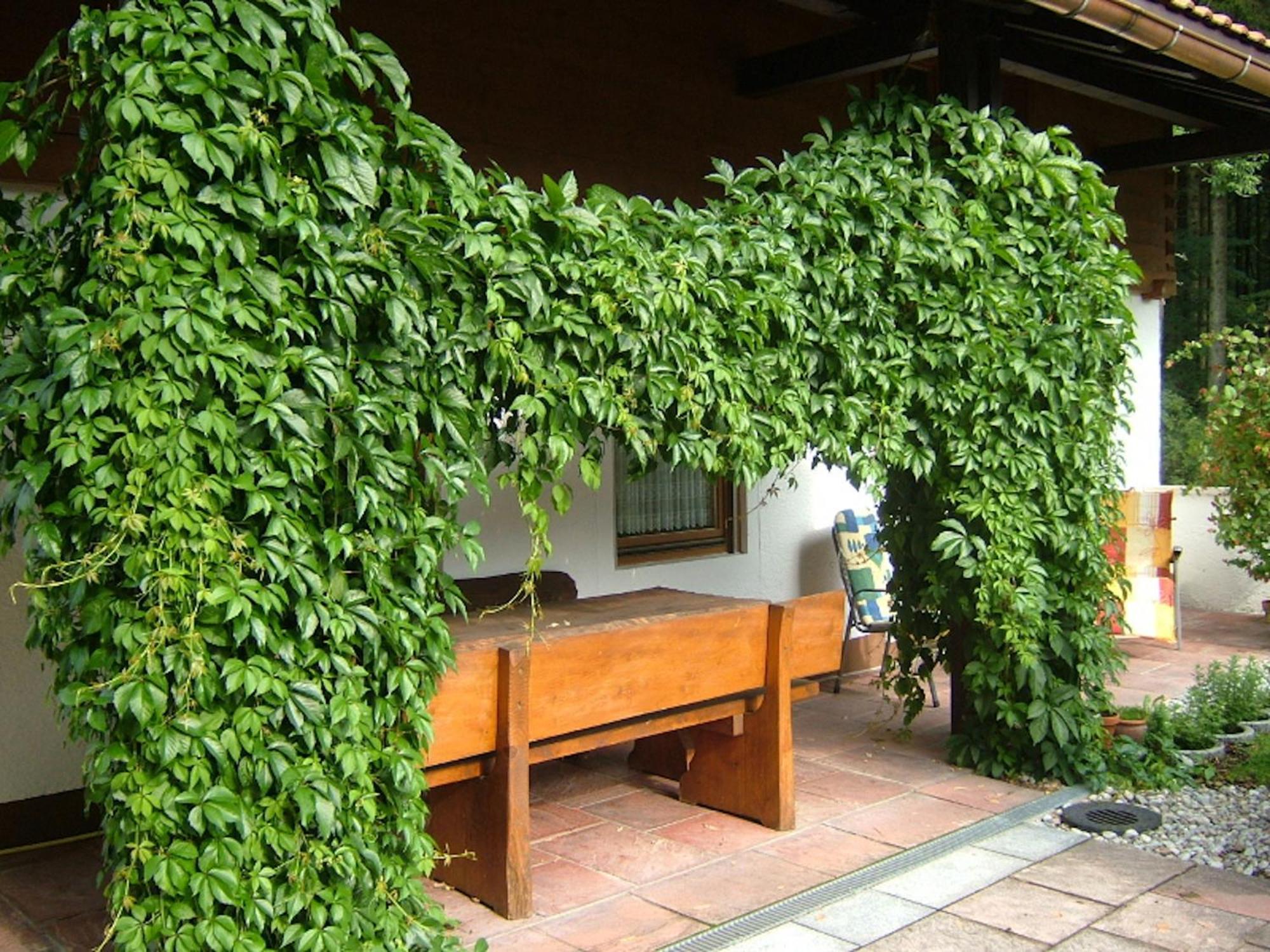 Haus Mayerbuechler - Chiemgau Karte Inzell Ngoại thất bức ảnh